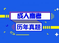 日照成人高考英语语法复习方法